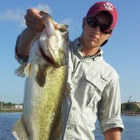 Lake Toho Bass Fishing Guides