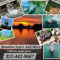 Manatee Tours and More