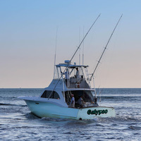 Cultural Heritage Curator Calypso Sportfishing Charters in Hatteras NC