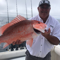 Cultural Heritage Curator Captain Gregg Fishing Charters in Sarasota FL