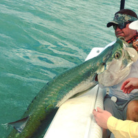 Cultural Heritage Curator On a Mission Fishing Charters in Naples FL