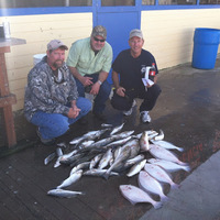 Cultural Heritage Curator Frazier's Guide Services in Galveston TX