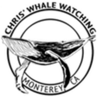 Chris' Fishing and Whale Watching