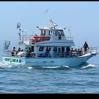 Cultural Heritage Curator Gypsea Fishing Charters in Brooklyn NY