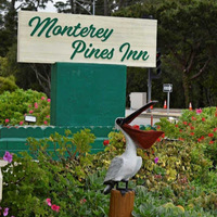 Cultural Heritage Curator Monterey Pines Inn in Monterey CA