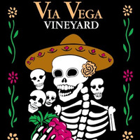 Cultural Heritage Curator Via Vega Vineyard & Winery in Paso Robles CA