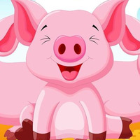 Cultural Heritage Curator SoCalMiniPigs - Petting Farm & Piglet sales in Valley Center CA