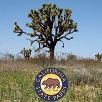 Cultural Heritage Curator Saddleback Butte State Park in Lancaster CA