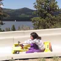 Cultural Heritage Curator Alpine Slide at Magic Mountain in Big Bear Lake CA