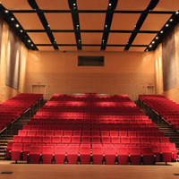 Cultural Heritage Curator Adelphi University Performing Arts Center in Garden City NY