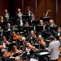 Cultural Heritage Curator Folsom Lake Symphony in Folsom CA