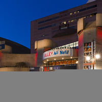 Cultural Heritage Curator Alley Theatre in Houston TX