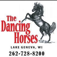 Cultural Heritage Curator The Dancing Horses Theatre in Delavan WI