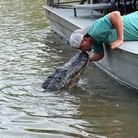 Cultural Heritage Curator Swamp Tours New Orleans in New Orleans LA