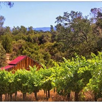 Westbrook Wine Farm Vineyard and Winery (By appointment only)