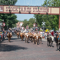 Cultural Heritage Curator Fort Worth Stockyards Station in Fort Worth TX