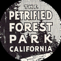 Cultural Heritage Curator The Petrified Forest in Calistoga CA