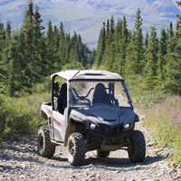 Cultural Heritage Curator Denali ATV Tour Site in Healy AK