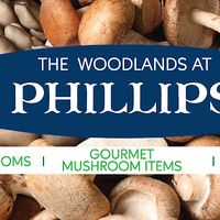 Cultural Heritage Curator The Woodlands at Phillips Mushroom Farms in Kennett Square PA