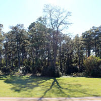 Cultural Heritage Curator Fritsche Park in Cypress TX