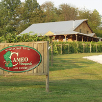 Cameo Vineyards