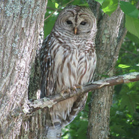 Merryspring Nature Center