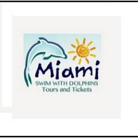 Cultural Heritage Curator Miami Swim With Dolphin Tours in Miami FL