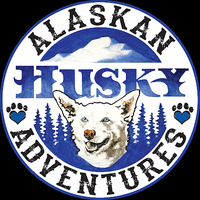 Cultural Heritage Curator Alaskan Husky Adventures in Willow AK