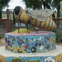 Cultural Heritage Curator UC Davis Bee Haven in Davis CA