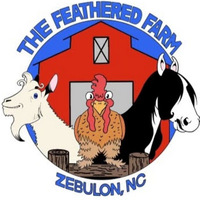 Cultural Heritage Curator Feathered Farm in Zebulon NC