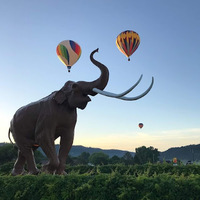 Cultural Heritage Curator Western Horizons Hot Air Balloons in Hot Springs SD