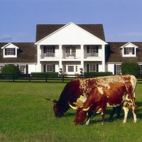 Cultural Heritage Curator Southfork Ranch in Parker TX