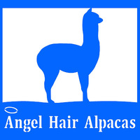 Cultural Heritage Curator Angel Hair Alpacas in North Grafton MA