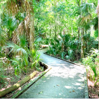 Brevard County Enchanted Forest Sanctuary