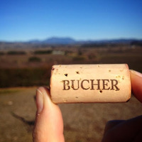 Cultural Heritage Curator Bucher Wines in Healdsburg CA