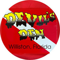 Cultural Heritage Curator Devil's Den Prehistoric Spring and Campground in Williston FL