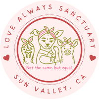 Cultural Heritage Curator Love Always Sanctuary - Farm Animal Sanctuary California in Sun Valley CA