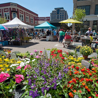 Cultural Heritage Curator Downtown Roanoke, Inc. in Roanoke VA