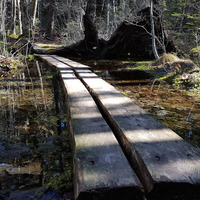 Cultural Heritage Curator Wilson's Cove Trail in Harpswell ME