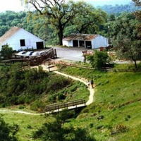 Henry W. Coe State Park