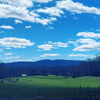 Cultural Heritage Curator Reynard Florence Vineyard in Barboursville VA