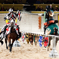 Cultural Heritage Curator Medieval Times Dinner & Tournament in Scottsdale AZ