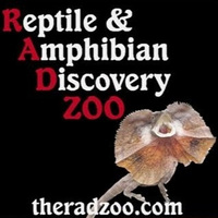 Cultural Heritage Curator The Reptile & Amphibian Discovery Zoo in Medford MN