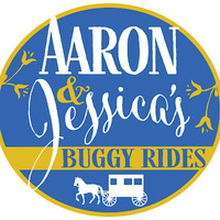 Cultural Heritage Curator Aaron and Jessica’s Buggy Rides in Bird in Hand 