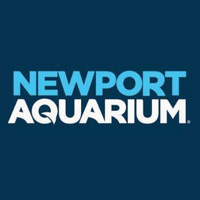 Newport Aquarium