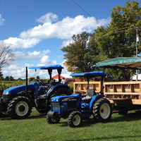 Fenn Valley Vineyards