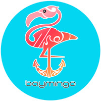 Baymingo - boat rental and tour in Fort Lauderdale