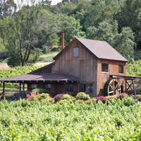 Cultural Heritage Curator Mill Creek Vineyards & Winery in Healdsburg CA