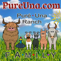 Purépecha Unalachtigo Ranch