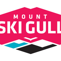 Cultural Heritage Curator Mount Ski Gull in Nisswa MN